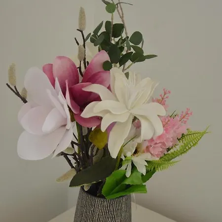 公寓 Lorenza Letting *