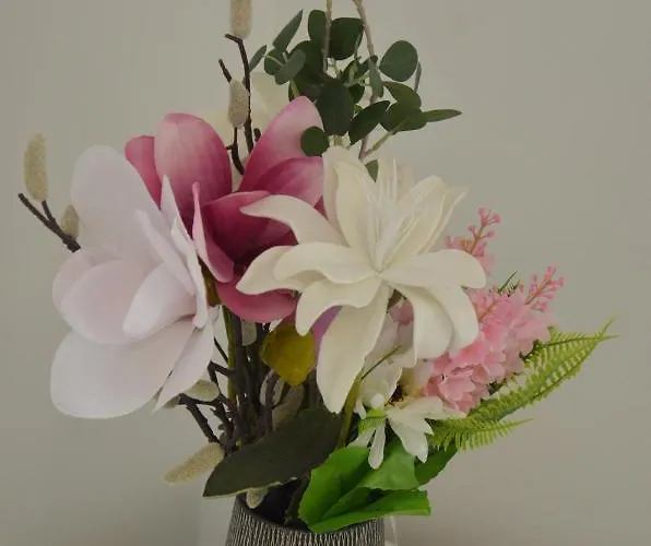 Apartament Lorenza Letting *