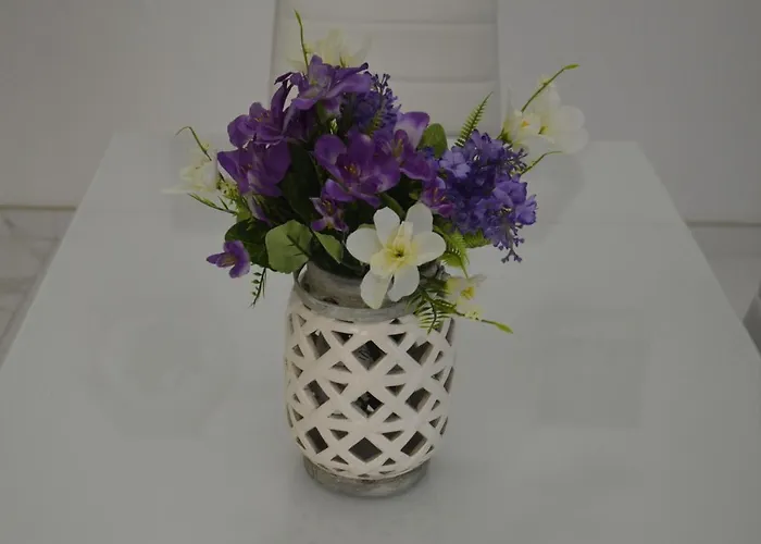 Apartament Lorenza Letting